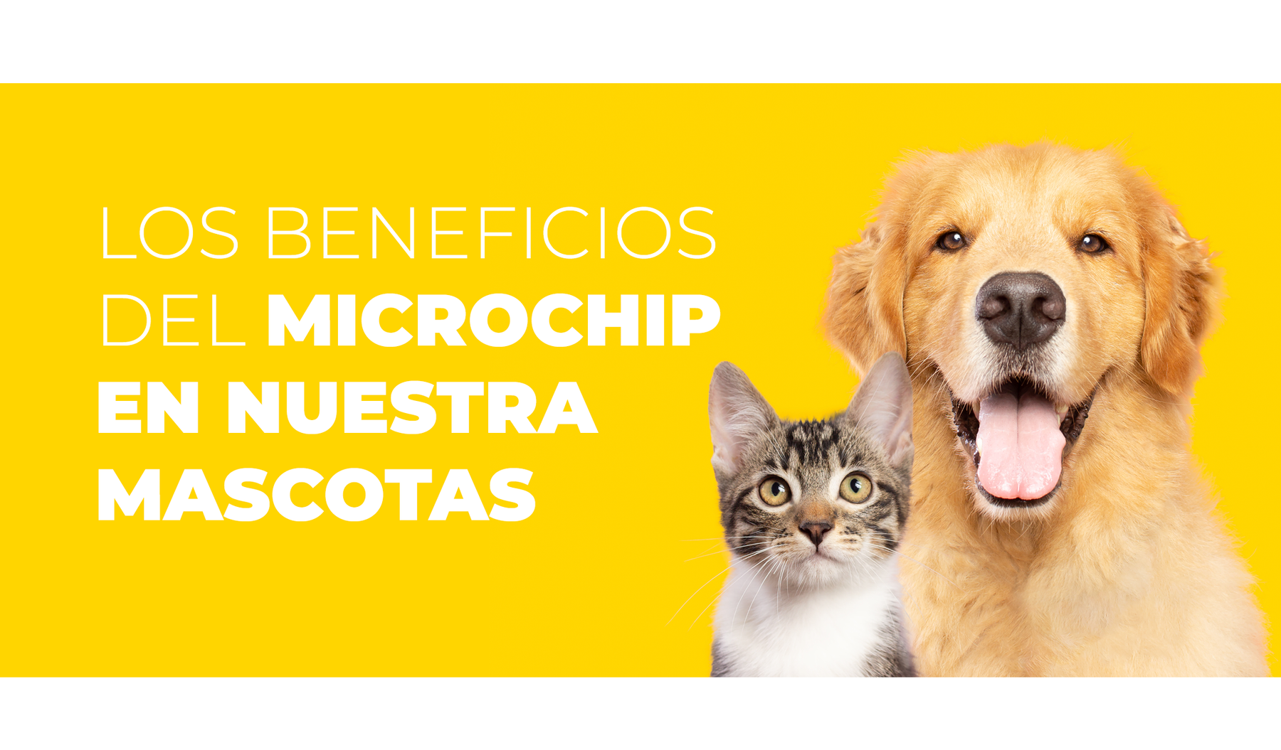 LOS BENEFICIOS DEL MICROCHIP EN NUESTRAS MASCOTAS