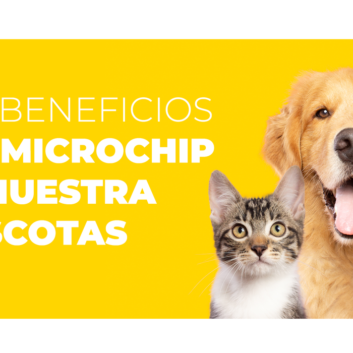 LOS BENEFICIOS DEL MICROCHIP EN NUESTRAS MASCOTAS