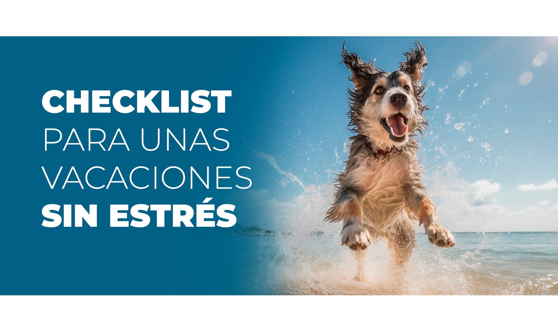 Checklist callejera: vacaciones sin estrés con tu perro o gato