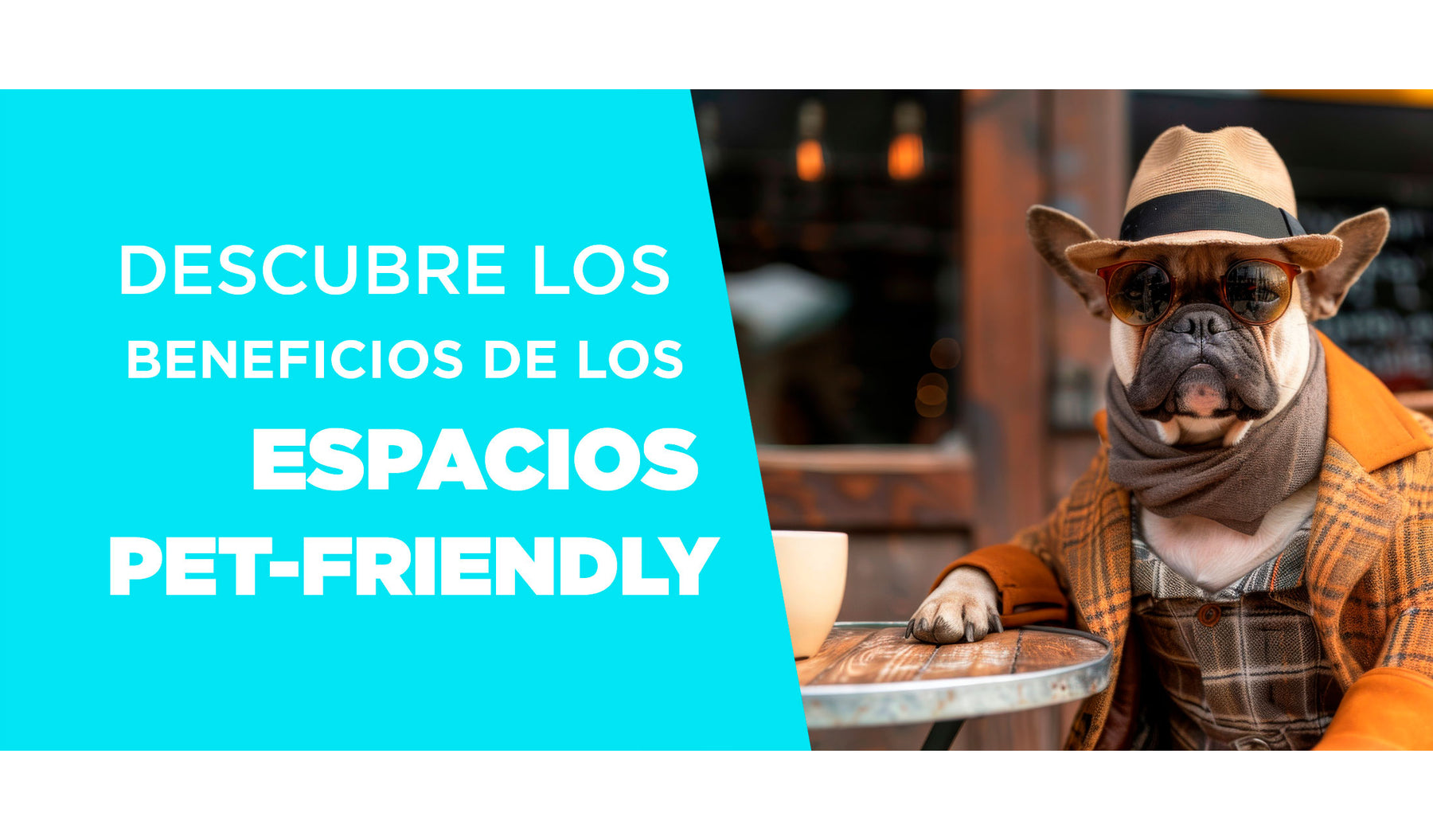 Descubre los Beneficios de los Espacios Pet-Friendly: Una Experiencia para Todos