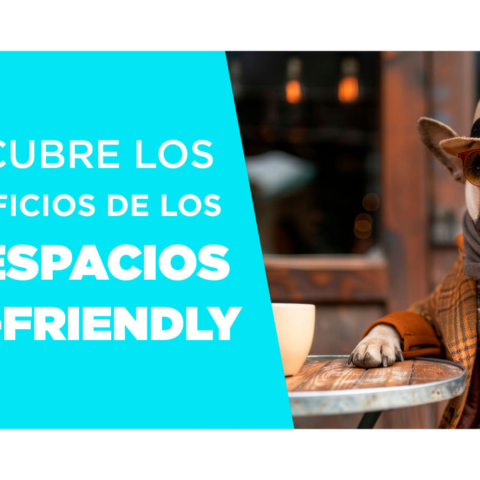 Descubre los Beneficios de los Espacios Pet-Friendly: Una Experiencia para Todos