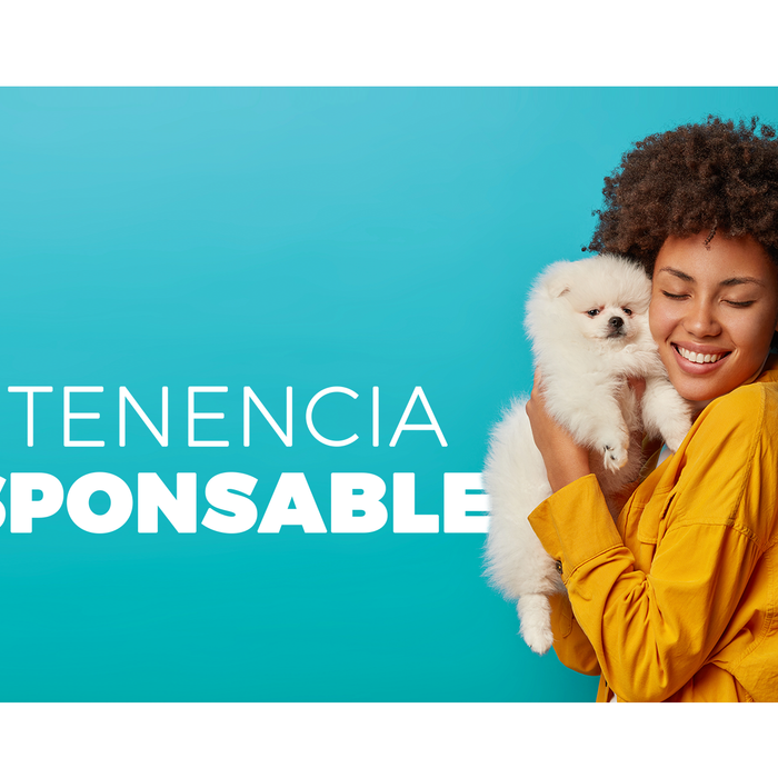 Ley tenencia responsable de mascotas, aspectos generales.