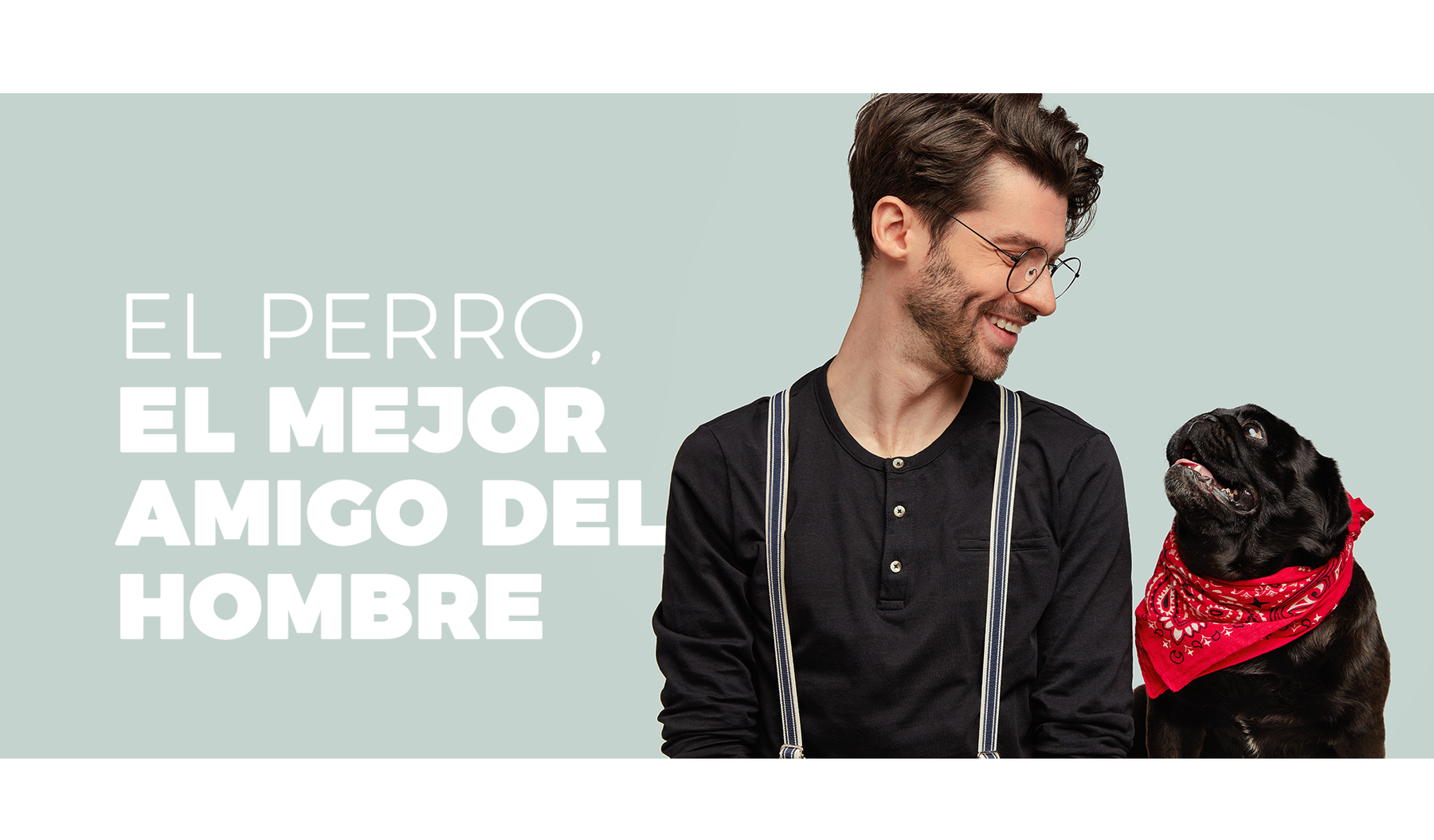 ¿Porqué se dice que el perro es el mejor amigo del hombre?
