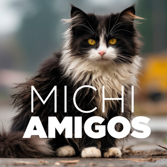 Dona 1 Kg de Alimento Agrupación Michi Amigos 😸