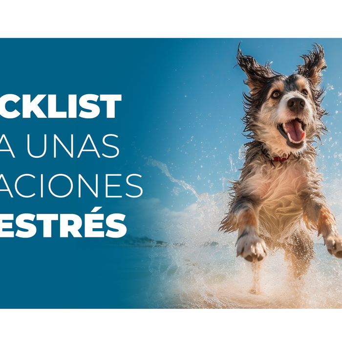 Checklist callejera: vacaciones sin estrés con tu perro o gato