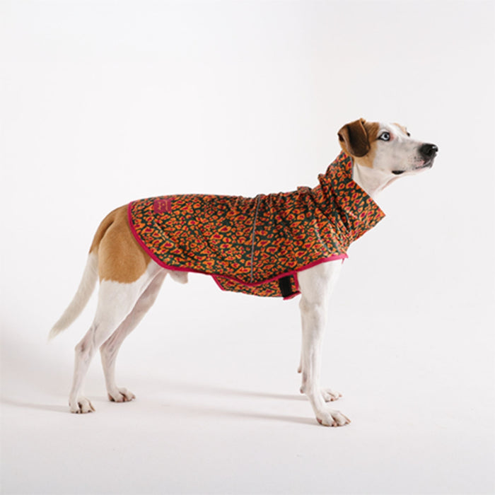 Capa de Lluvia Selva para perro -  Zeedog