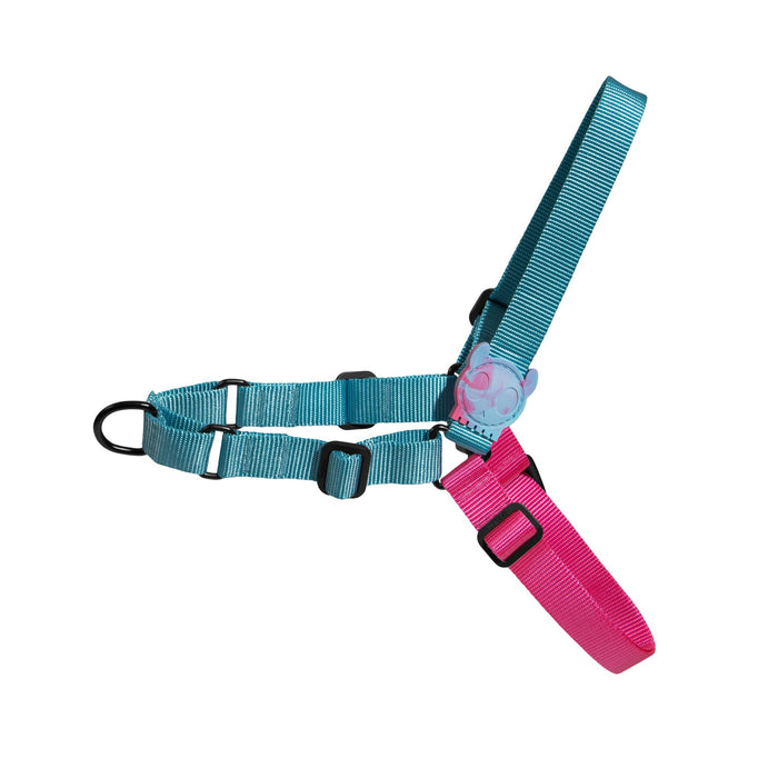 Arnés Anti Tirón Hydra para perro - Zeedog