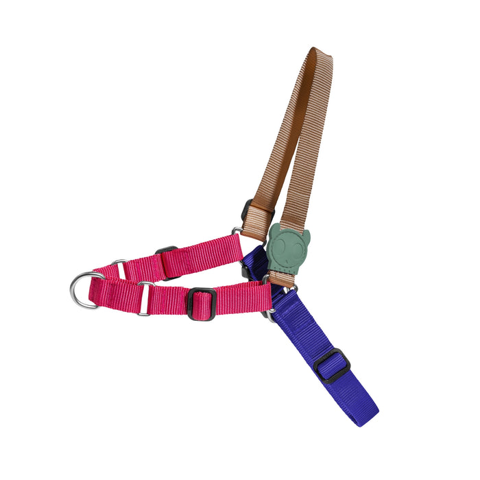 Arnés Anti Tirón Yucca para perro - Zeedog