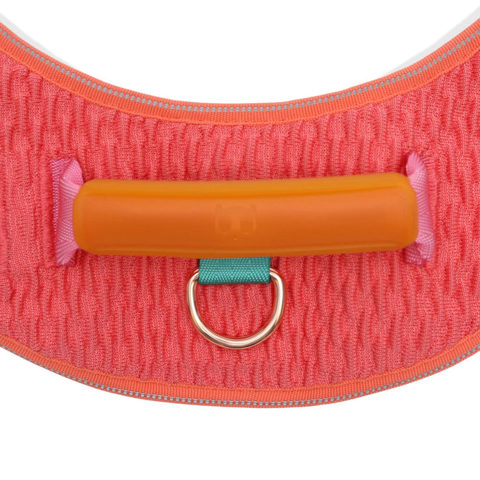 Arnés FlyHarness Gazelle para perro - Zeedog