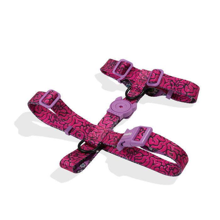 Arnés H Ajustable Brain para perro - Zeedog