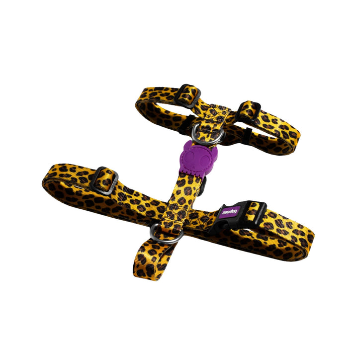 Arnés H Ajustable Honey para perro - Zeedog