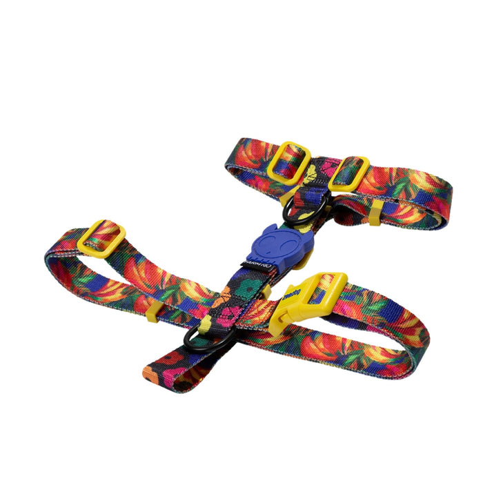 Arnés H Ajustable Samba para perro - Zeedog