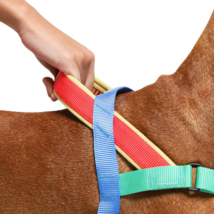 Arnés Softer Walk Mellow para perro - Zeedog