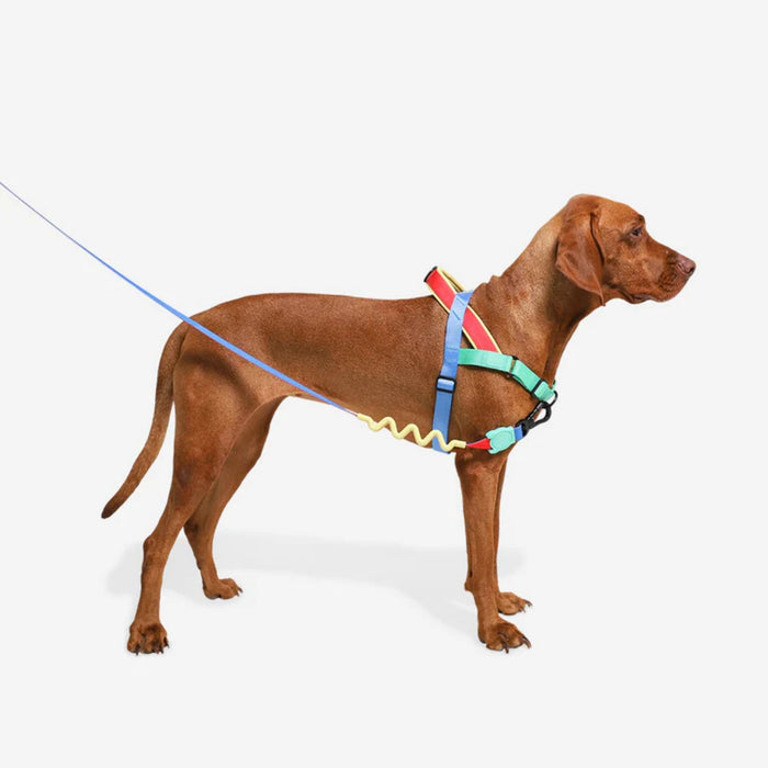 Arnés Softer Walk Mellow para perro - Zeedog
