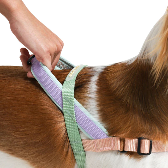 Arnés Softer Walk Peach para perro - Zeedog