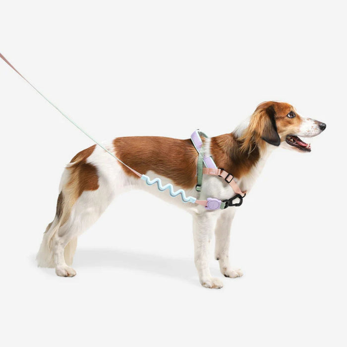 Arnés Softer Walk Peach para perro - Zeedog