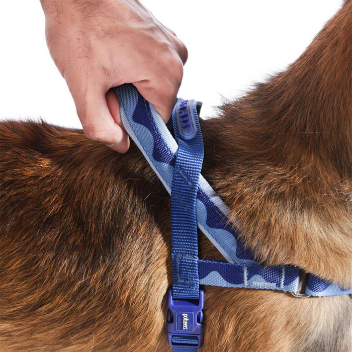 Arnés Softer Walk Swell para perro - Zeedog