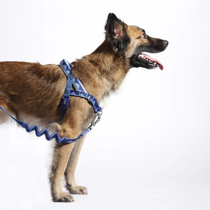 Arnés Softer Walk Swell para perro - Zeedog