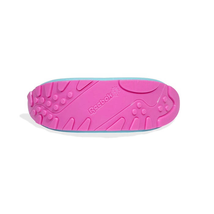 Boomerang Aerobic - Zeedog