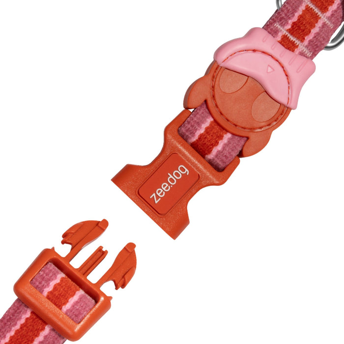 Collar Courtney para perro - Zeedog