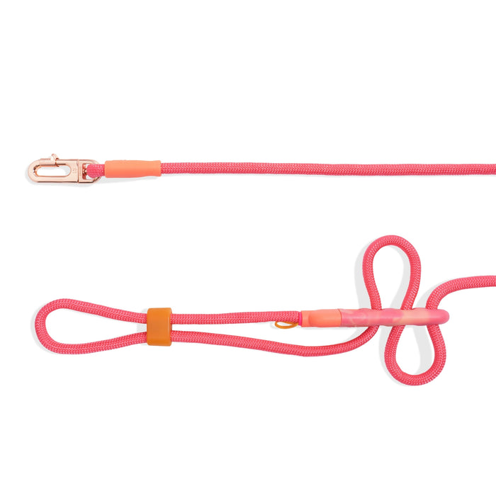 Correa Handsfree Gazelle - ZeeDog