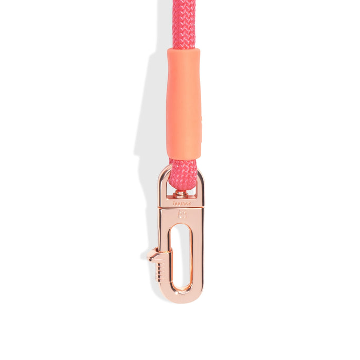 Correa Handsfree Gazelle - ZeeDog