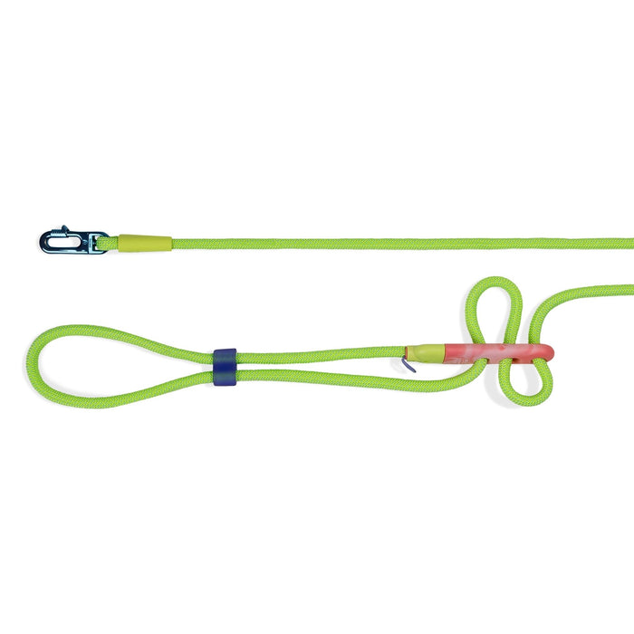 Correa Handsfree Glo - ZeeDog