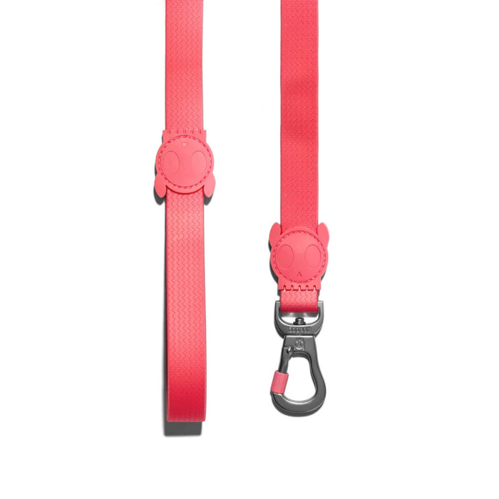 Correa Neopro Bubblegum para perro - ZeeDog