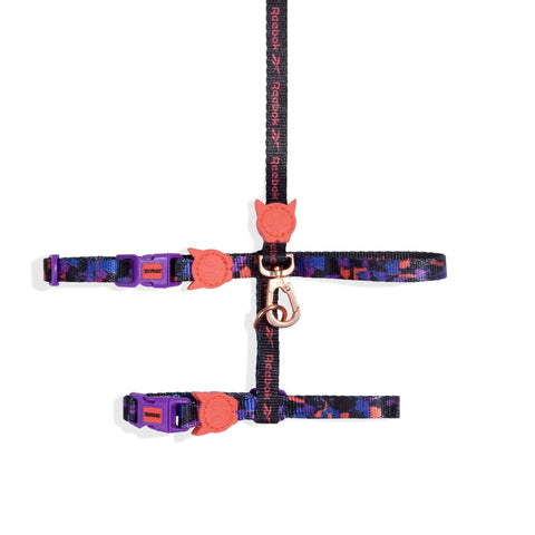 Leash + H-Harness Court para gatos