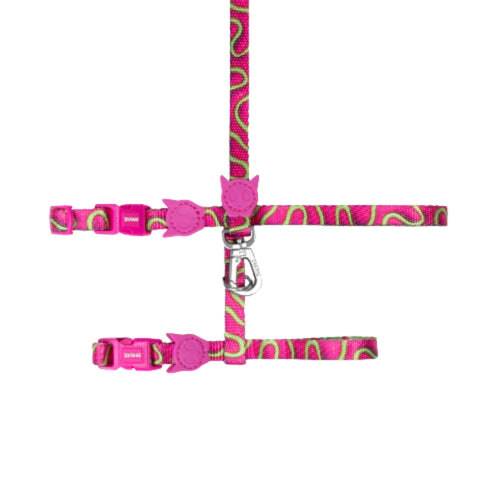 Leash + H-Harness Jelly para gatos