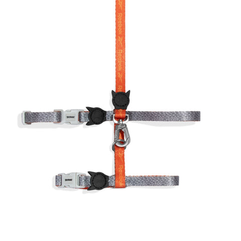 Leash + H-Harness Suede para gatos