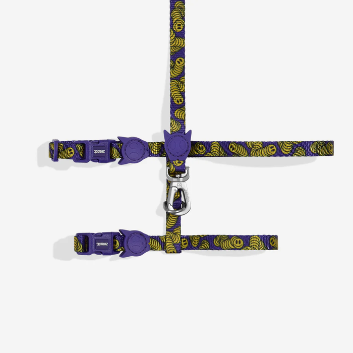 Zmiley Leash + H-Harness Cat